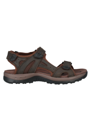 Josef Seibel 253316 Bart 06 in Brown