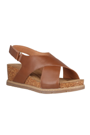Josef Seibel 556601 Eden 01 in dark brown